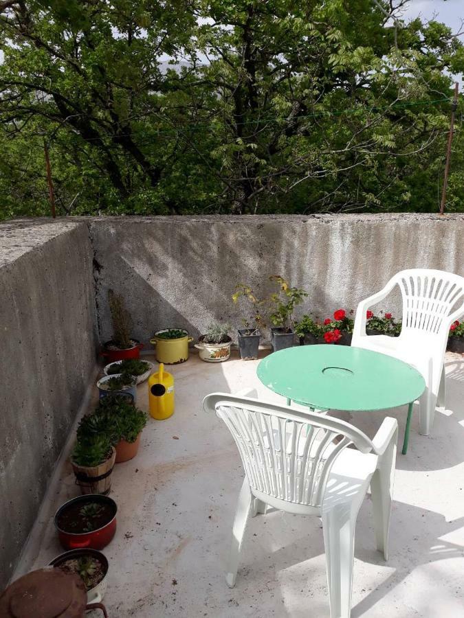 Apartman Milica Golubic (Zadar) Exterior foto