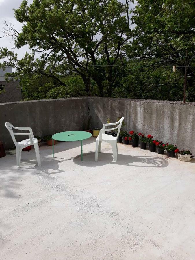 Apartman Milica Golubic (Zadar) Exterior foto